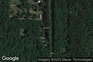 2966 Skidmore Rd, Brethren, MI 49619