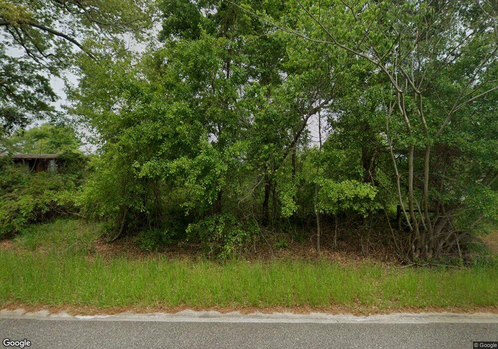 7452 Lodgetown Rd, Pelham, GA 31779 - photo 1