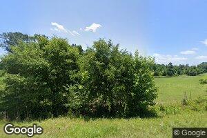 4373 Old Mitchell Rd, Mitchell, GA 30820