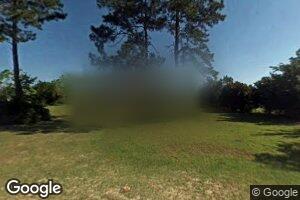 364 Winnes Paulk Rd, Willacoochee, GA 31650
