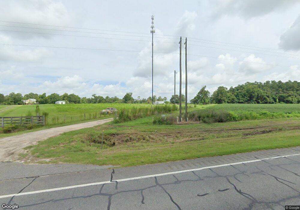 7199 Us Highway 319 N, Omega, GA 31775 - photo 1