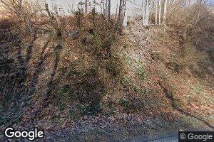 1187 Wimmer Gap Rd, Whitewood, VA 24657