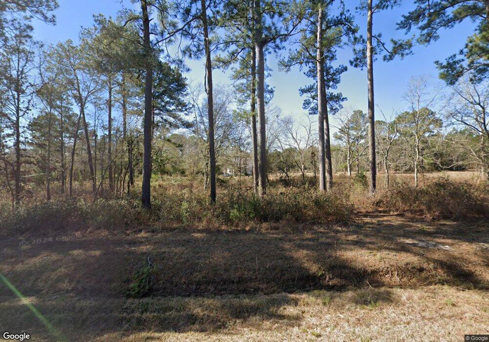 4860 Palmer Rd, Meigs, GA 31765 - photo 1