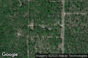 1427 E Elm, Idlewild, MI 49642