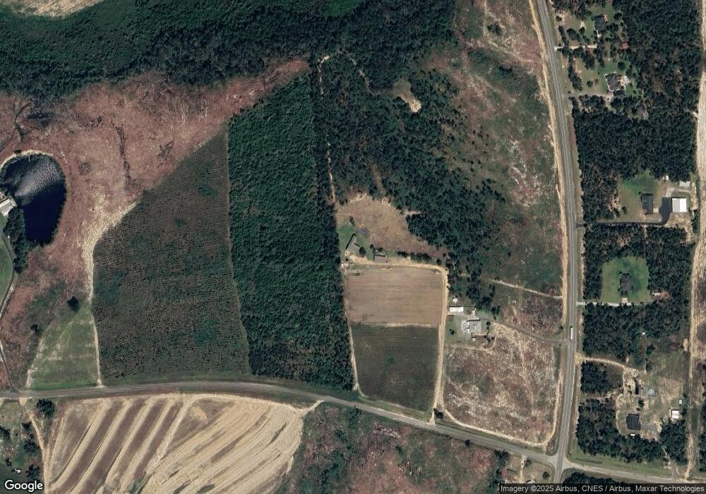 1201 Old Savannah Rd, Ailey, GA 30410 - photo 1