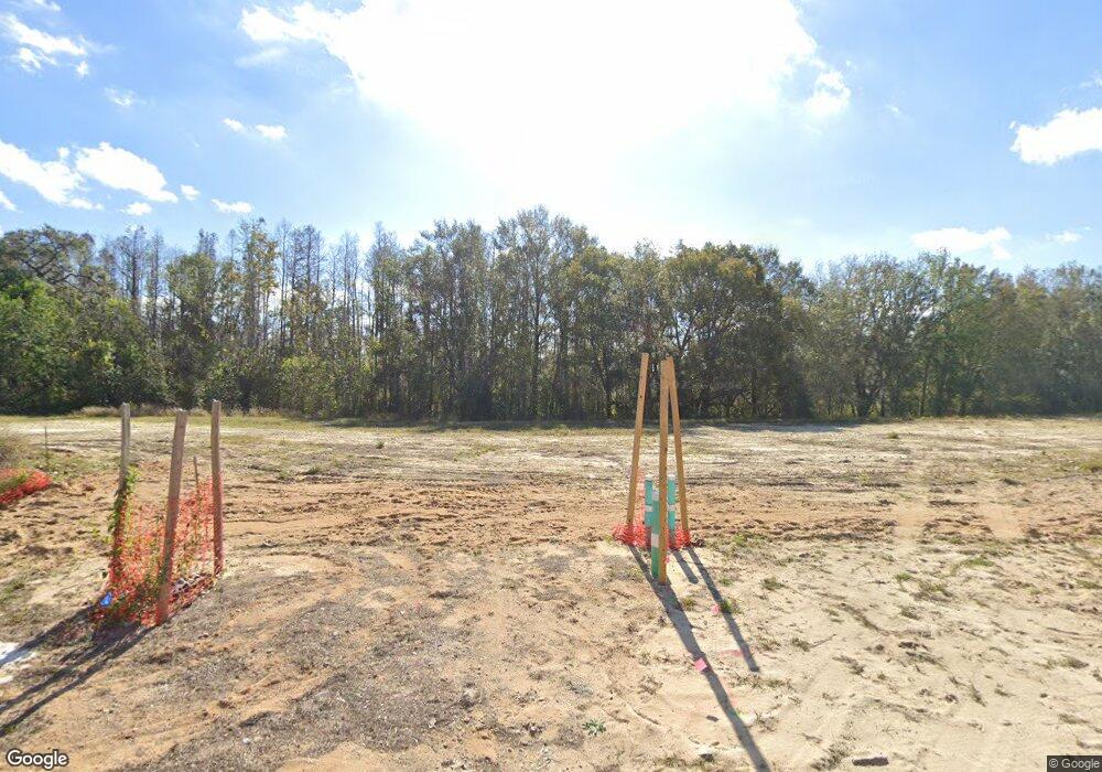 1000 Fan Palm Dr, Davenport, FL 33897 - photo 1