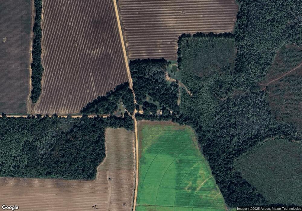 4718 Lewis Rd, Damascus, GA 39841 - photo 1