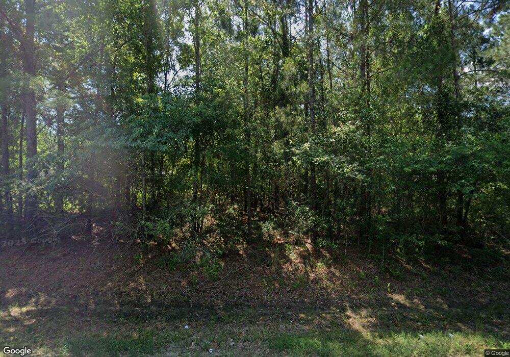 8870 Airline Rd, Pavo, GA 31778 - photo 1