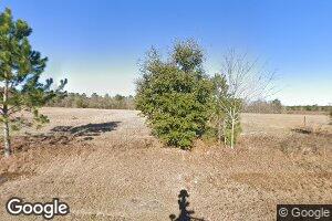 803 Liege Gay Rd, Lyons, GA 30436