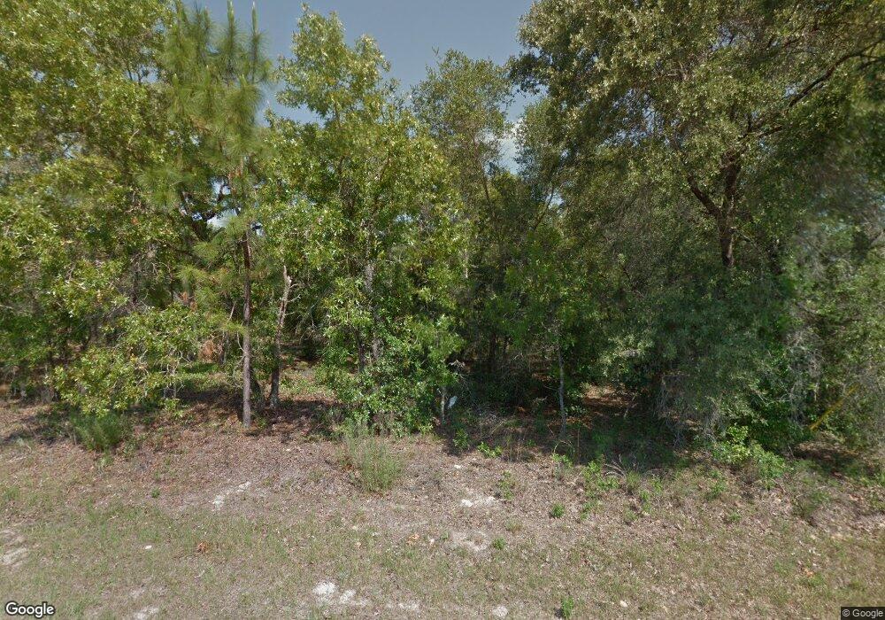 3111 W Barberton Place, Citrus Springs, FL 34433 - photo 1