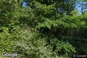 5831 Crawfords Cove Rd, Steele, AL 35987