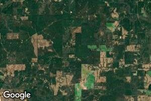 0 Smilely Honea Unit 201013797, Magnolia, MS 39652