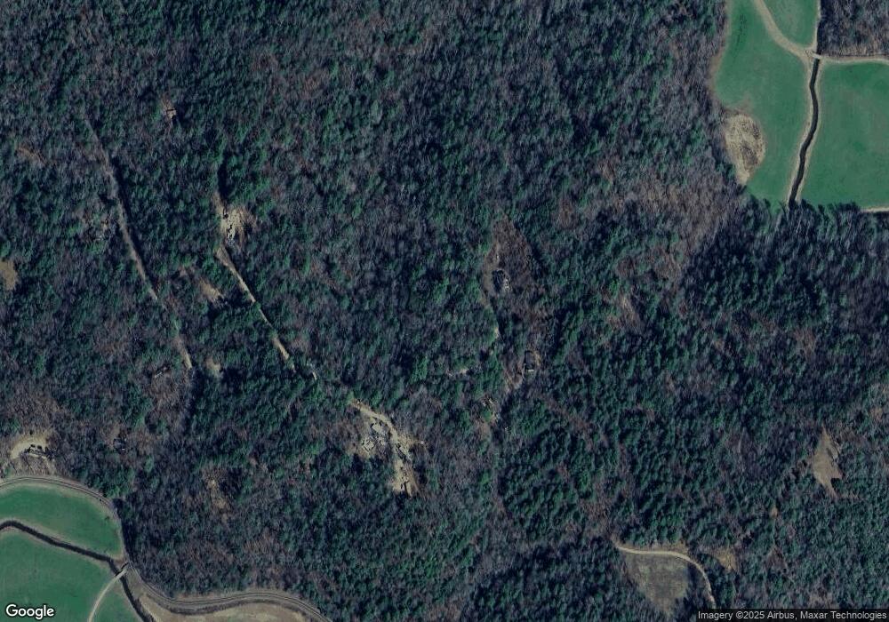 299 W Brook Ct, Ellijay, GA 30540 - photo 1