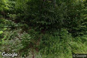 50 Little Lefthand Rd, Amma, WV 25005