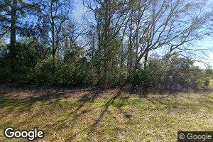 3567 County Road 4430, Brundidge, AL 36010