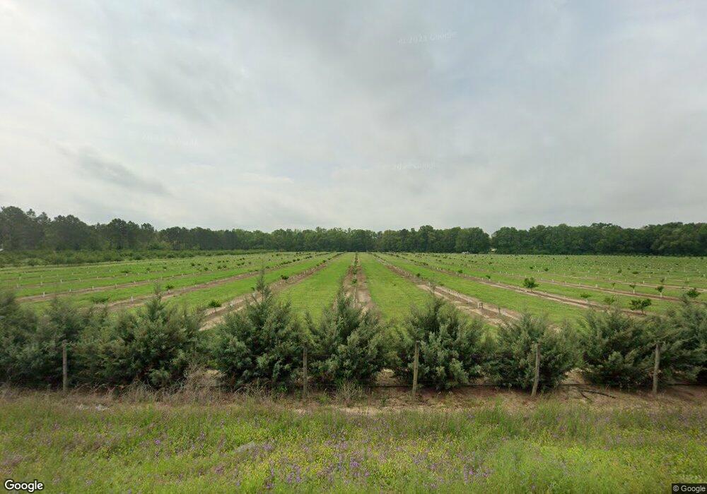 827 S County Line Rd, Albany, GA 31705 - photo 1