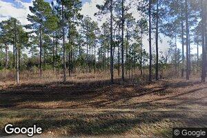 119 Johnny Freeman Rd, Colquitt, GA 39837
