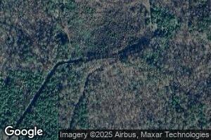 2478 Hamburg Rd, Pine Apple, AL 36768