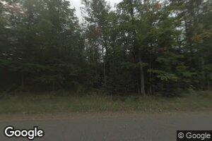 21880 N Olson Lake Dr, Michigamme, MI 49861