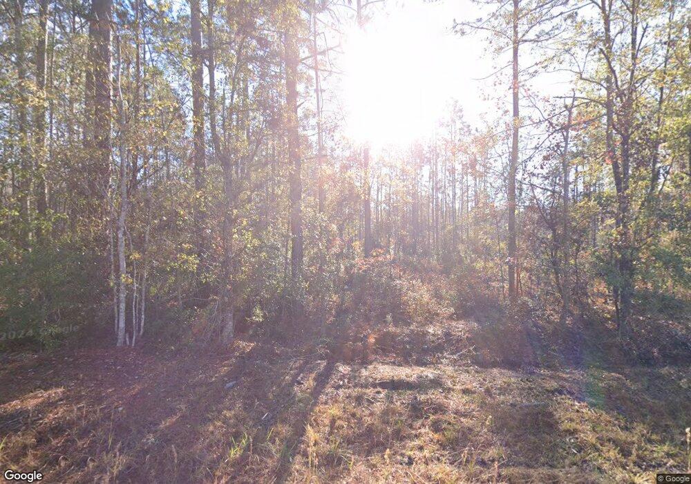 1100 Fourth St Extension, Springfield, GA 31329 - photo 1