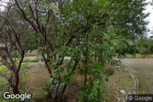 348 Higdon Spink Cutoff, West Point, CA 95255