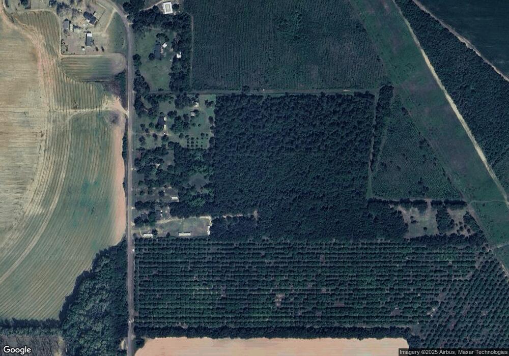 9786 Vines Rd, Baconton, GA 31716 - photo 1