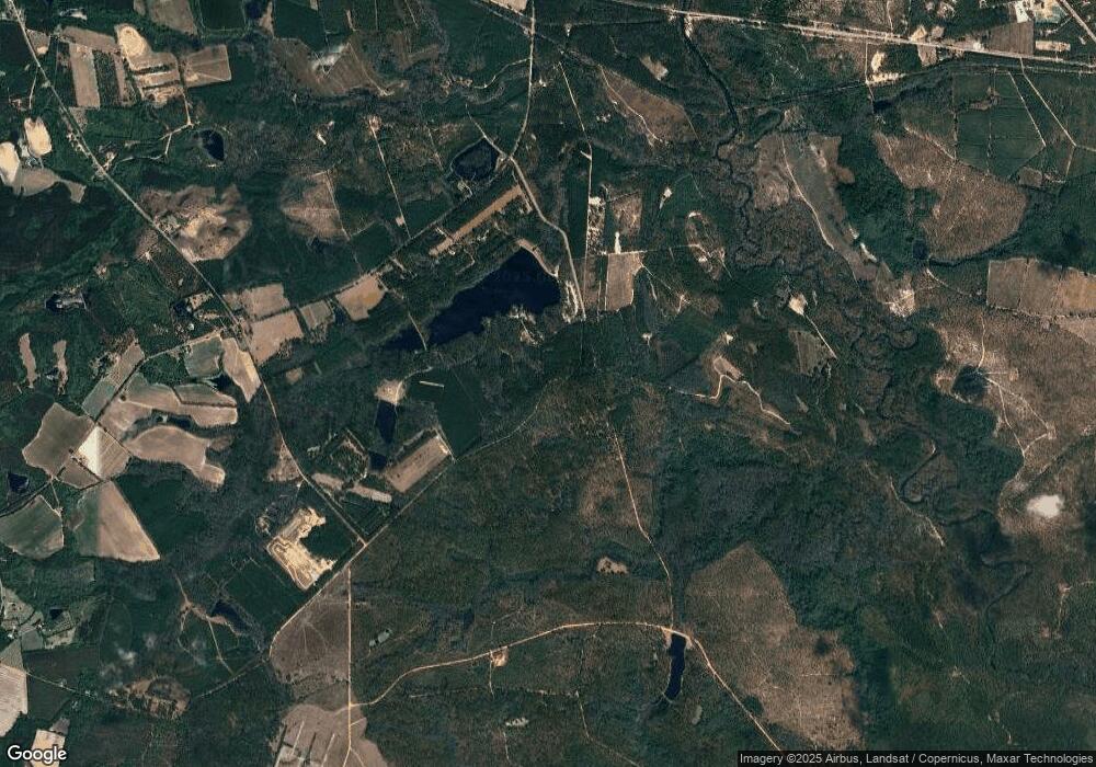 0 Area Line Rd unit 8866264, Claxton, GA 30417 - photo 1