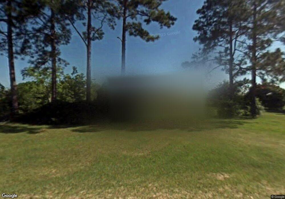 266 Winnes Paulk Rd, Willacoochee, GA 31650 - photo 1