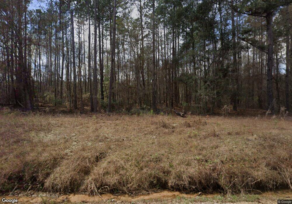 222 Amazon Rd, Alma, GA 31510 - photo 1