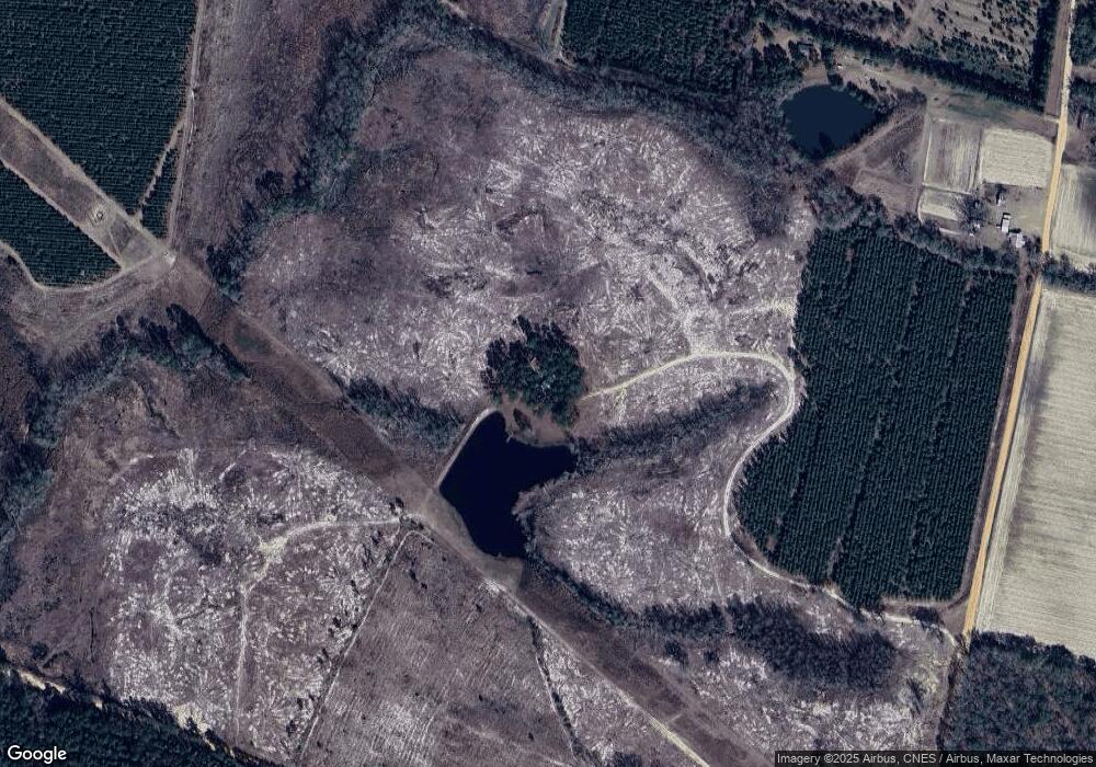 7397 Pine Burr Rd, Metter, GA 30439 - photo 1