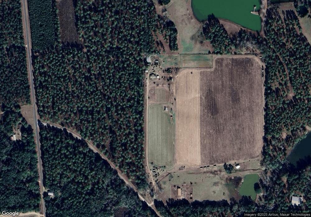 337 Widow White Rd, Meigs, GA 31765 - photo 1