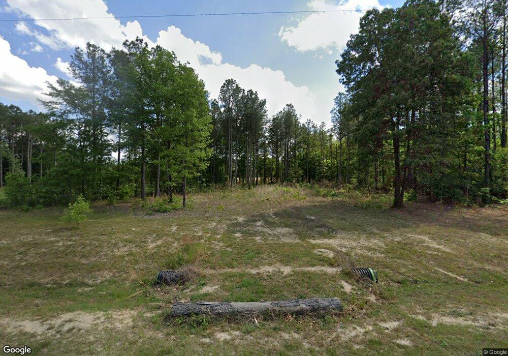 251 Raynor Sands Dr, Meadow, NC 28334 - photo 1