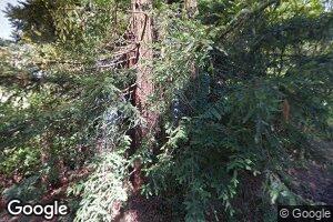 14820 Wendling Soda Creek Rd, Philo, CA 95466