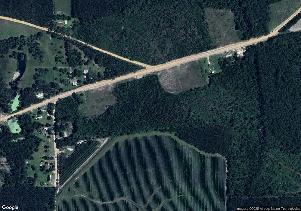 193 Mobile River Rd, Alma, GA 31510 - photo 1