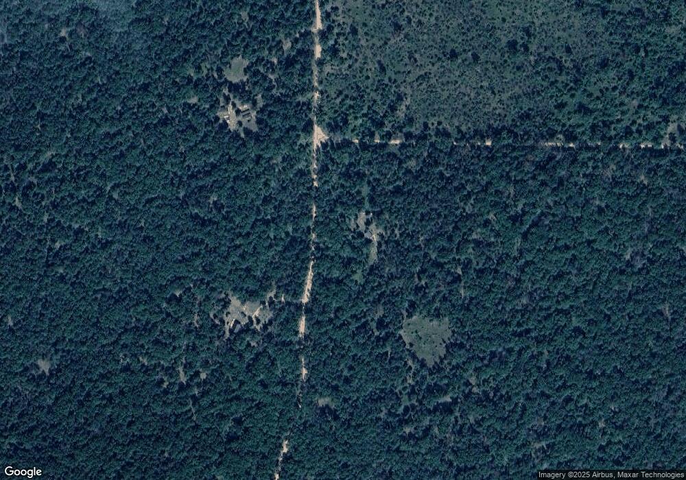 3918 S Peacock Trail, Baldwin, MI 49304 - photo 1