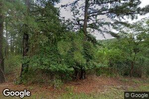 14995 Persimmon Ct, Issue, MD 20645