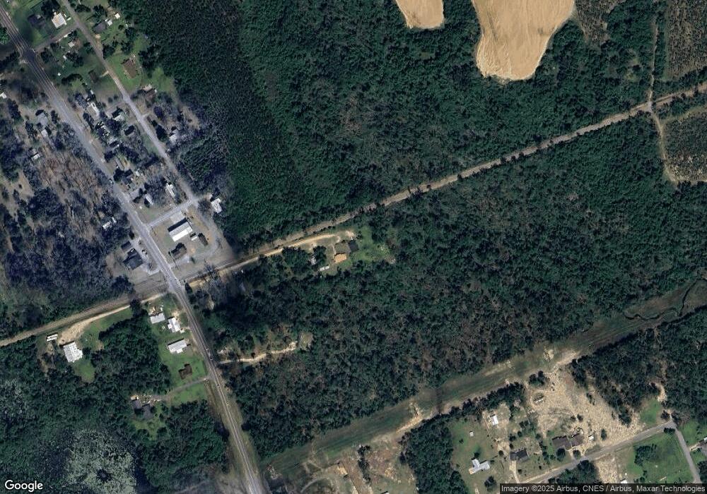 176 Allmond St, Ailey, GA 30410 - photo 1