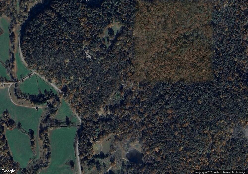 290 Goshen Mesa Ln, Clarkesville, GA 30523 - photo 1