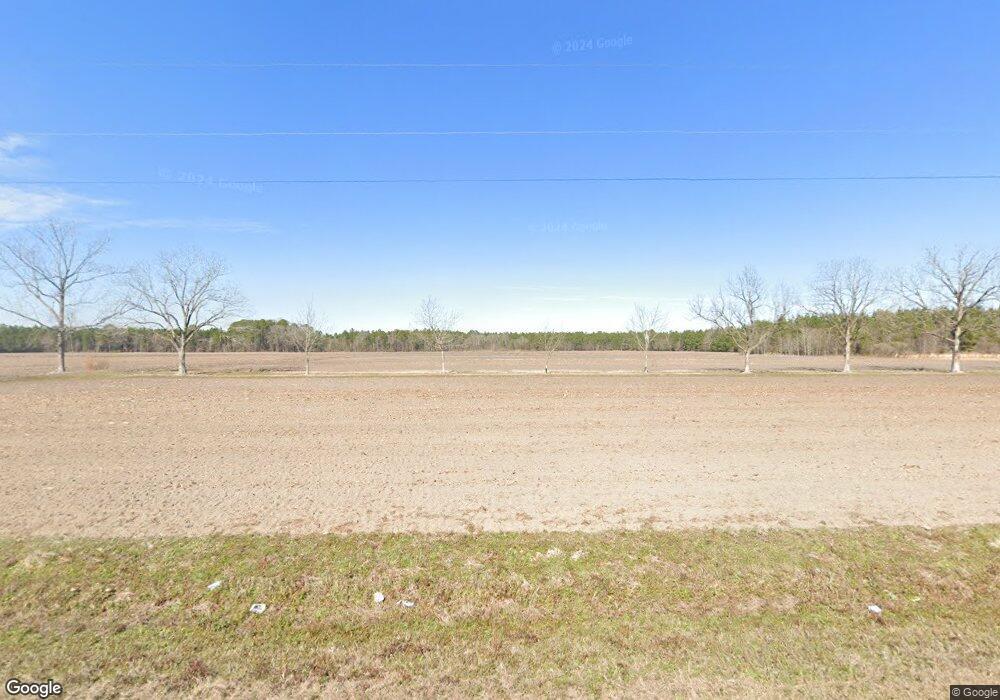 18959 Ga Highway 169, Reidsville, GA 30453 - photo 1