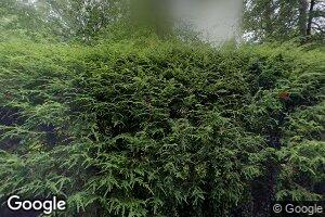 7 Buena Vista Rd, Asheville, NC 28803