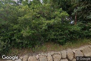 9465 Columbine Trail, Cascade, CO 80809