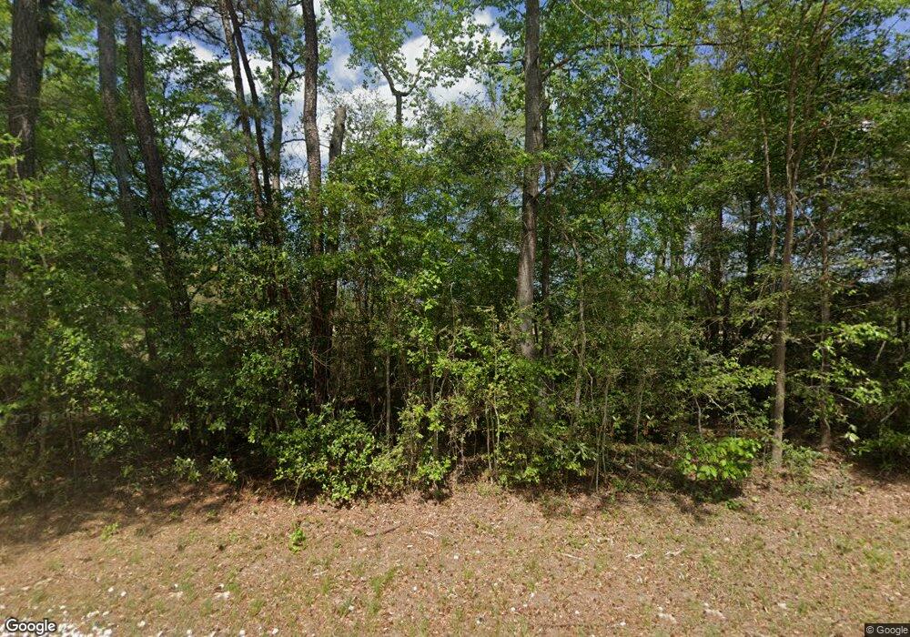 24223 Morgan Cemetery Rd, Cleveland, TX 77328 - photo 1