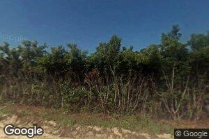 5553 Bowen Rd, Blackshear, GA 31516