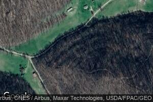 857 Walker Creek Rd, Chloe, WV 25235