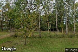 21870 NE Pickerel Lake Rd, Detroit Lakes, MN 56501