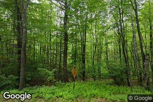 8 Birch Glen Dr, Bennington, NH 03442