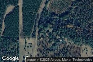 186 Mount Hebron Rd, Coleman, GA 39836