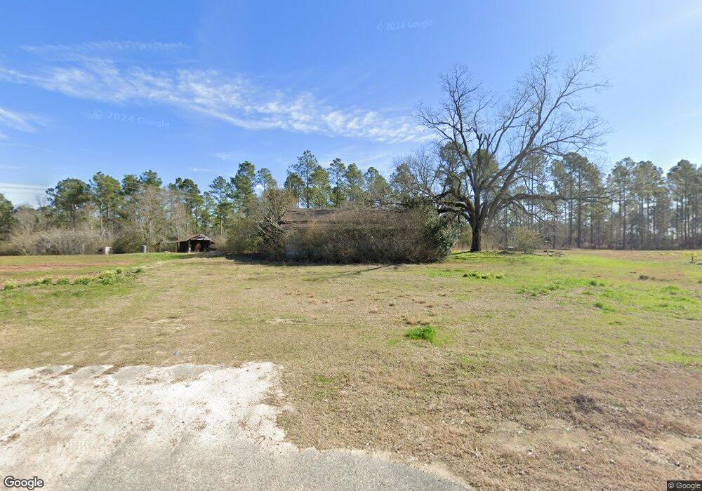 2413 Ga Highway 202, Meigs, GA 31765 - photo 1