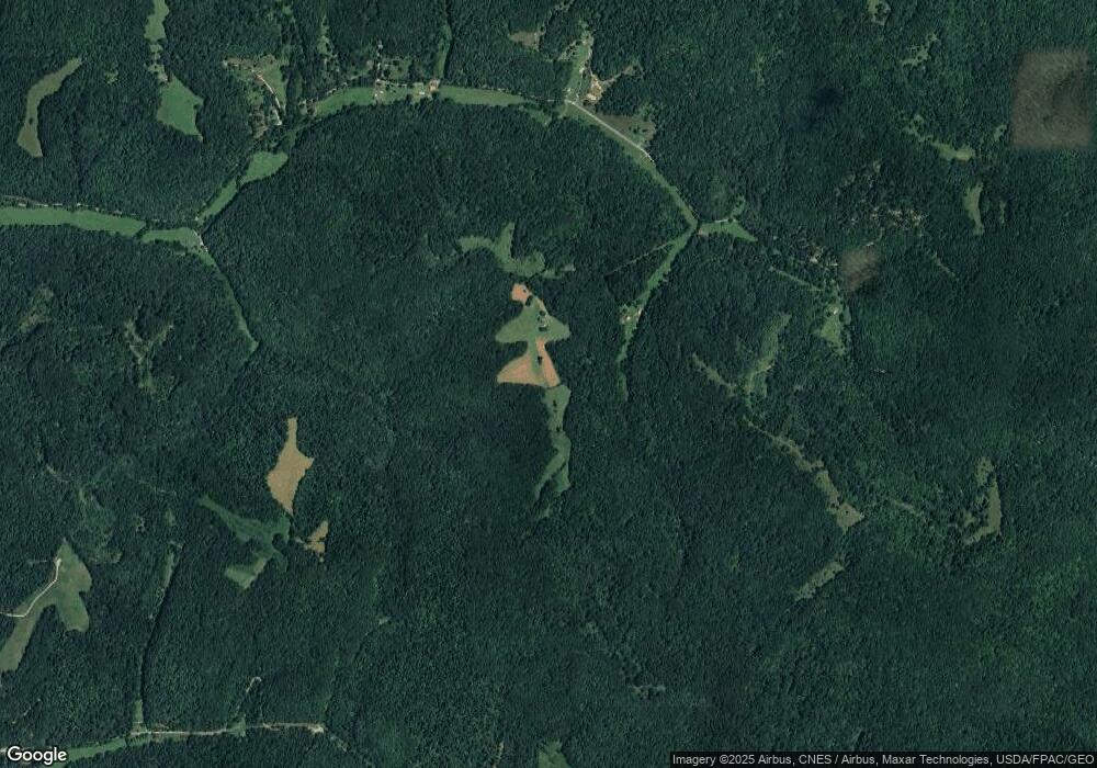 Painters Fork Rd, Frametown, WV 26601 - photo 1