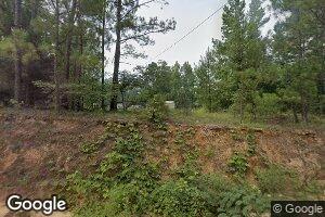 162 Turner Rd, Reynolds, GA 31076